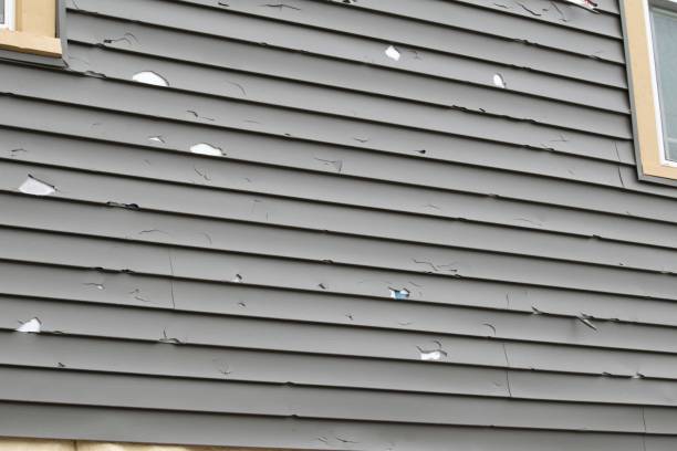 Affordable Siding Repair and Maintenance Services in Cayuga, IN